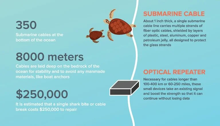 coriant sub-marince cable