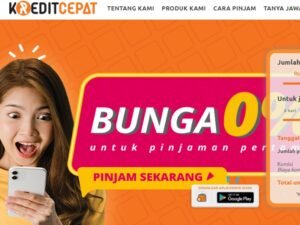 Read more about the article OJK Beri 13 Izin Pinjaman Online Baru dan Cabut 1 Pinjol