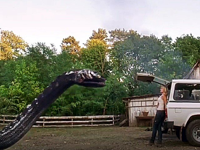 Anaconda 3 : Offspring
