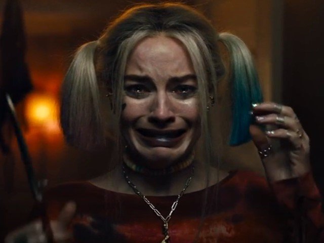 birds of prey
