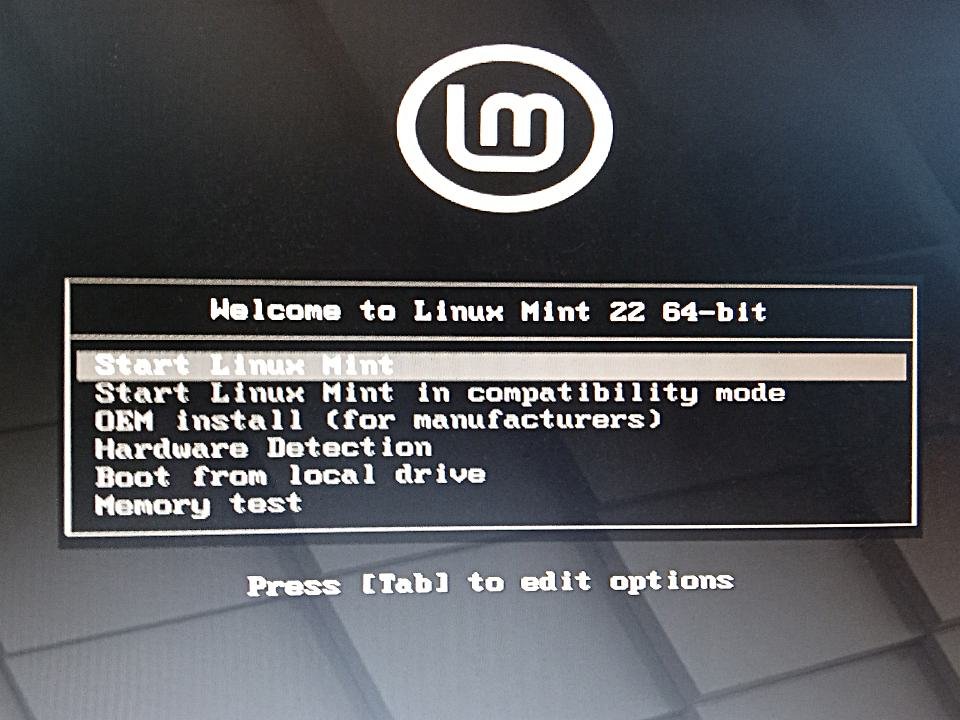 boot usb linux mint