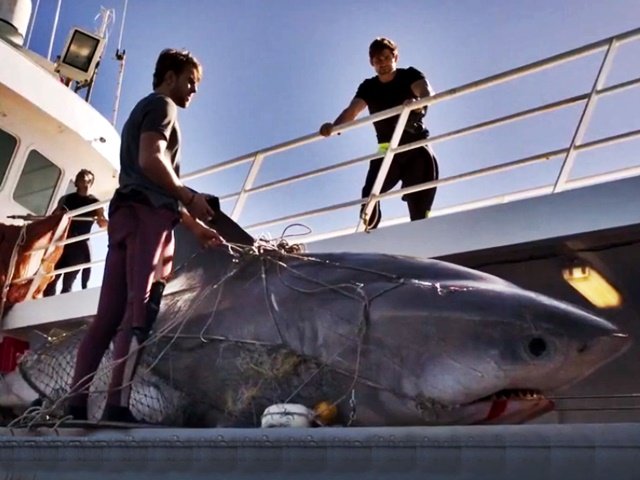 deep blue sea 3