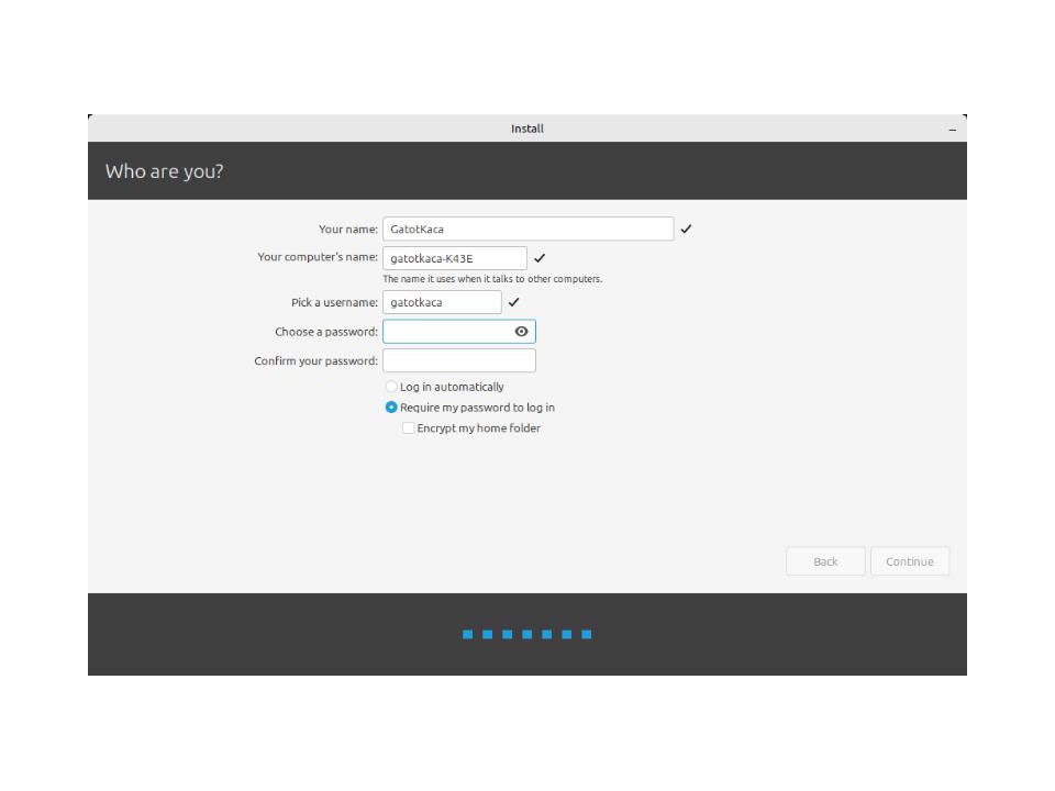 install linux mint