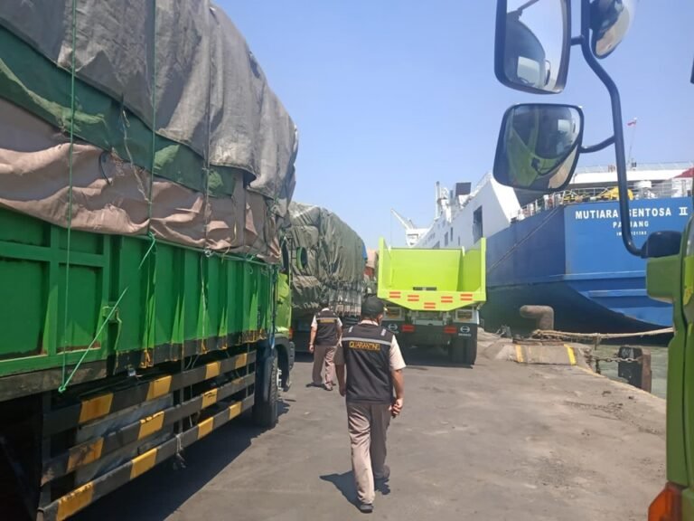 km mutiara sentosa 2 -- jadwal kapal ferry 2025