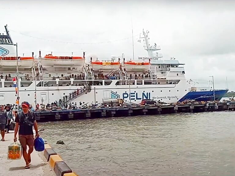 km tatamailau -- jadwal kapal pelni 2024