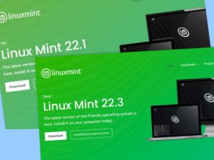 linux mint 27