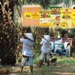 pt tunas baru lampung tbk